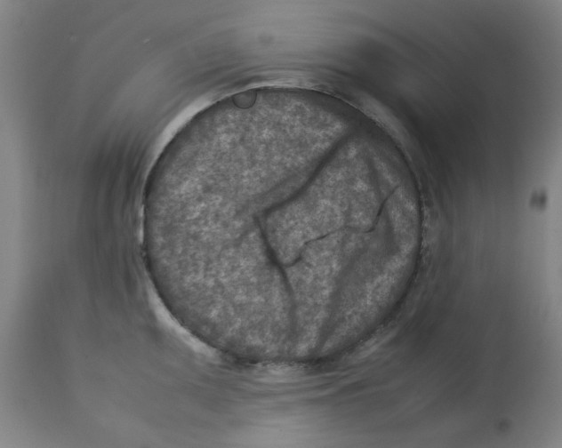 X0000112731095200909171121