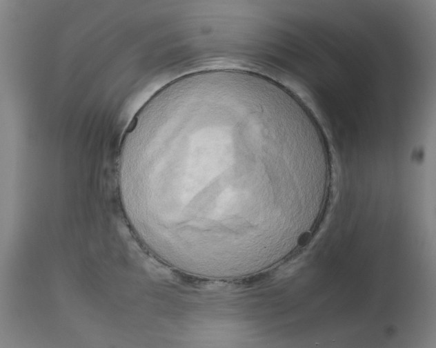X0000112731097200909171121