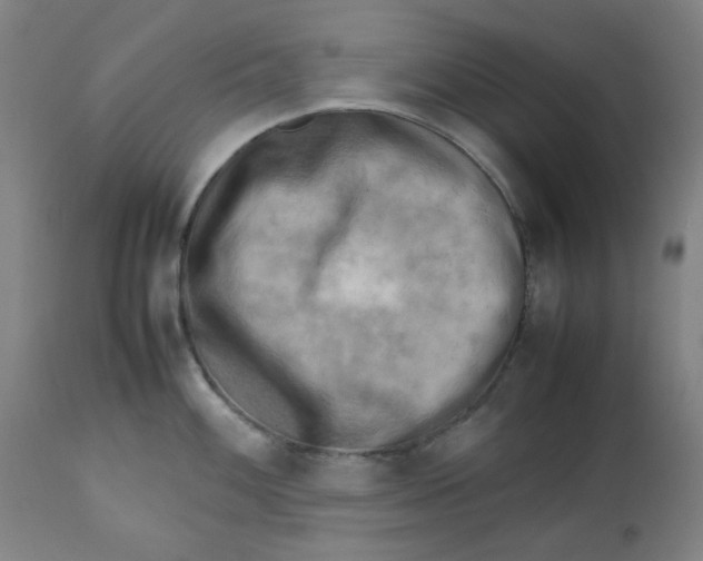 X0000112731100200909171121