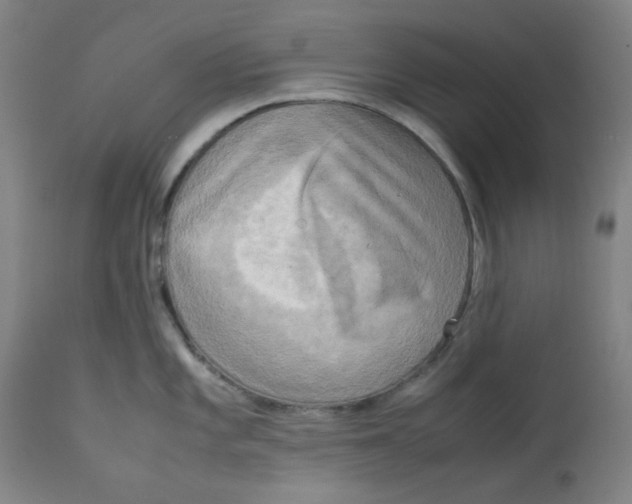 X0000112731101200909171121