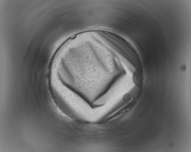 X0000112731102200909171121