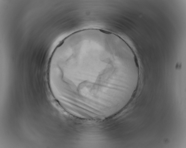 X0000112731104200909171121