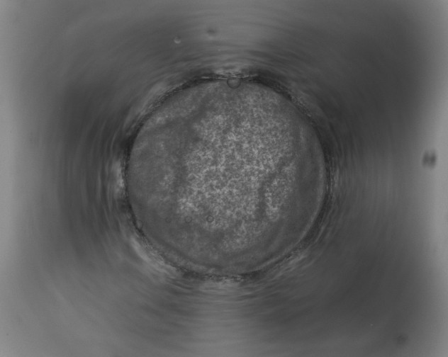 X0000112731106200909171120