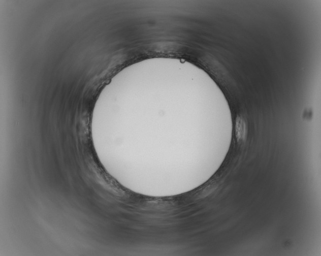 X0000112731107200909171120