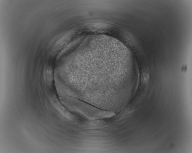X0000112731108200909171121