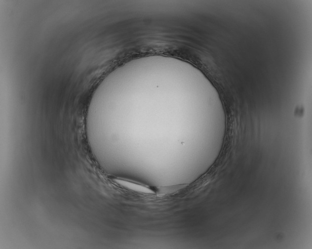 X0000112731109200909171121