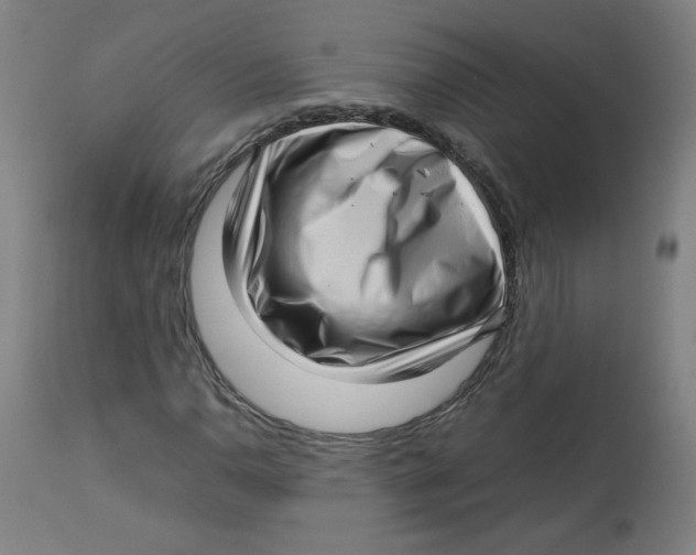 X0000112731110200909171121