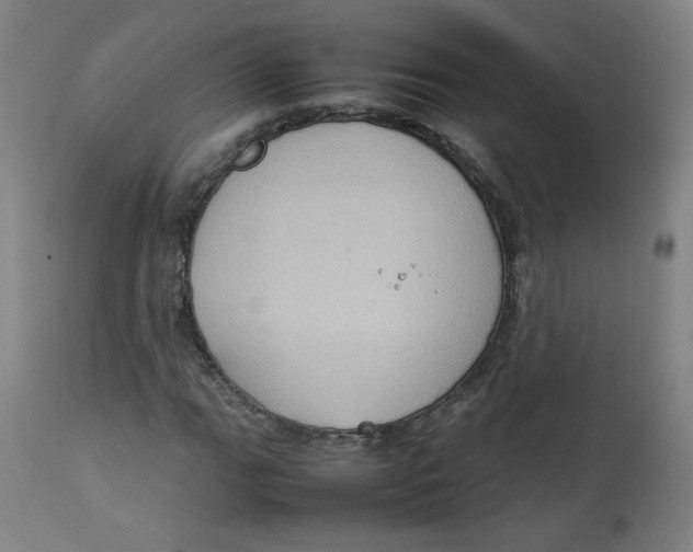X0000112731111200909171121