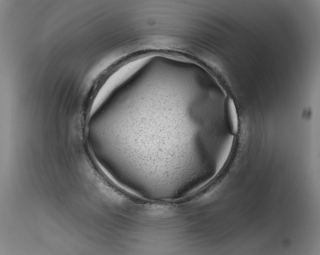 X0000112731114200909171121