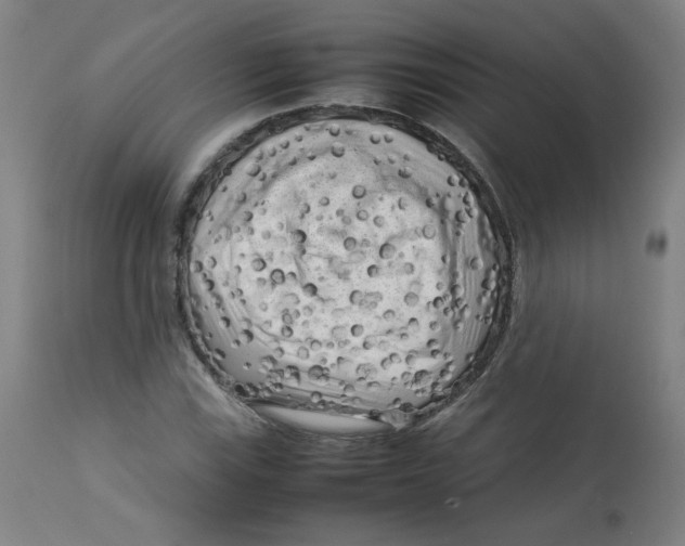X0000112731115200909171121