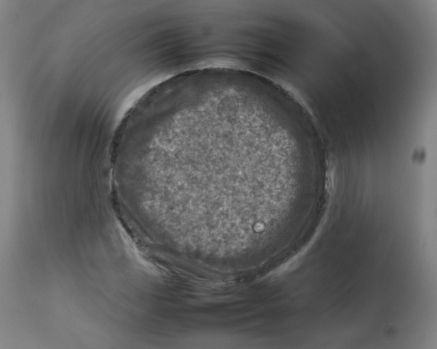 X0000112731117200909171121
