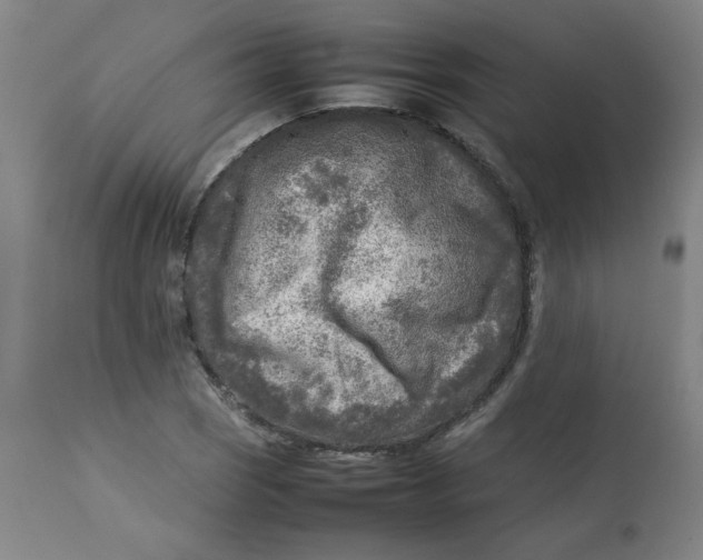 X0000112731121200909171121