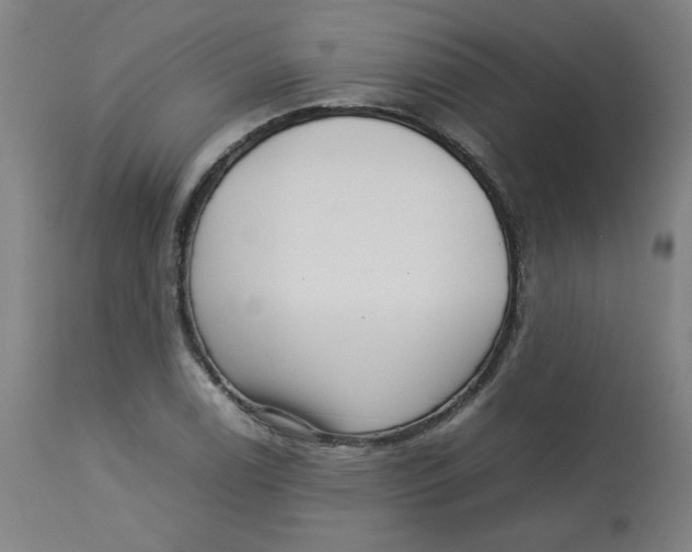 X0000112731122200909171121
