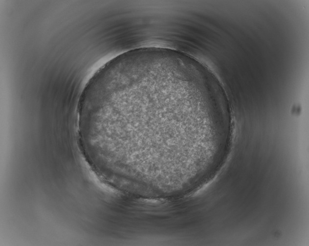 X0000112731125200909171121