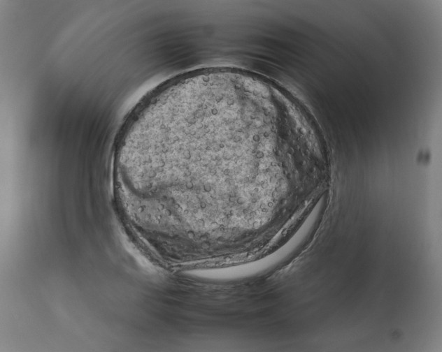 X0000112731127200909171121