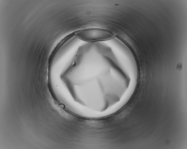 X0000112731132200909171121