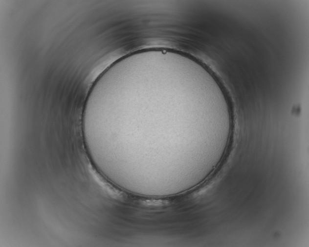 X0000112731137200909171121