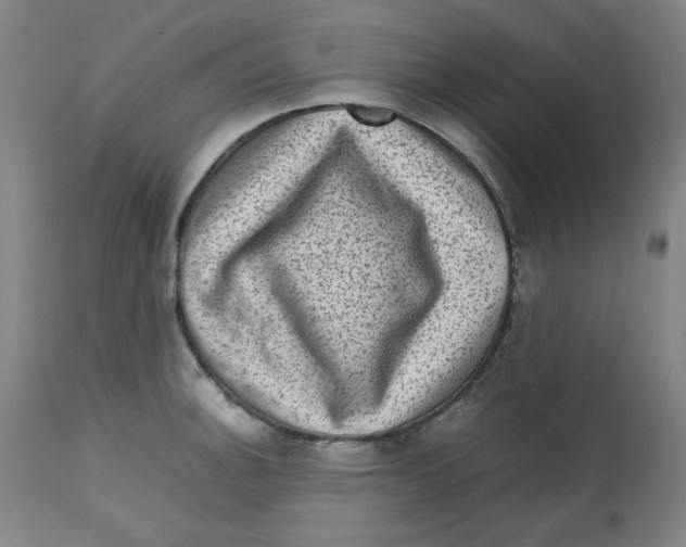 X0000112731140200909171121
