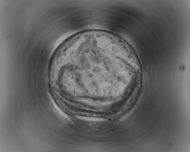 X0000112731141200909171121
