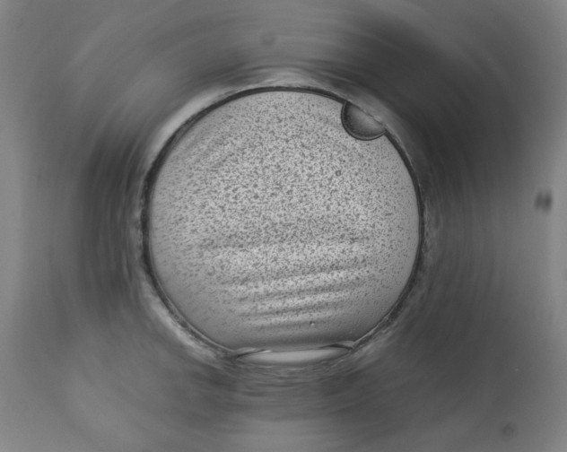 X0000112731142200909171121