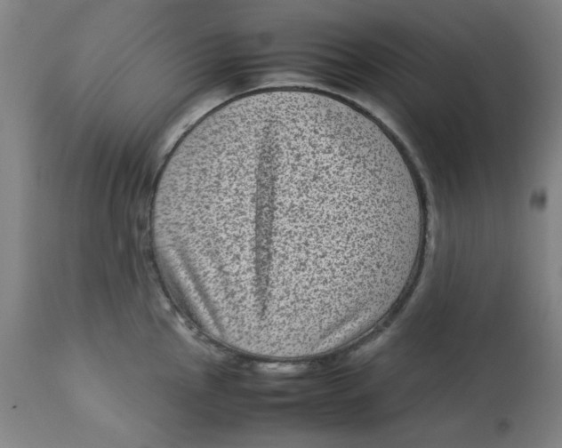 X0000112731145200909171121