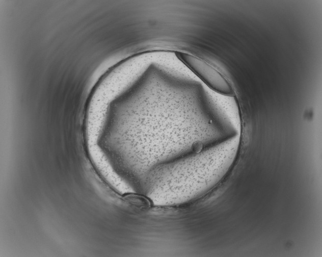 X0000112731146200909171121