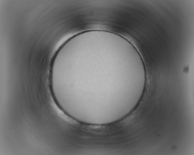 X0000112731147200909171121