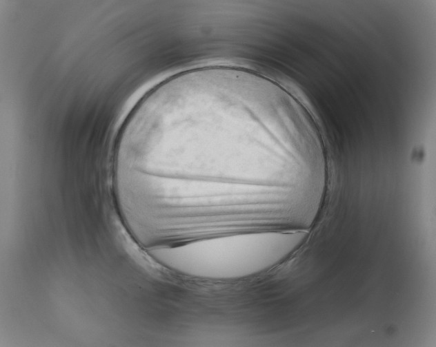 X0000112731148200909171121