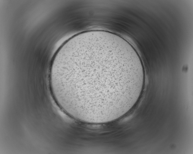 X0000112731149200909171121