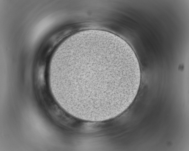 X0000112731150200909171121