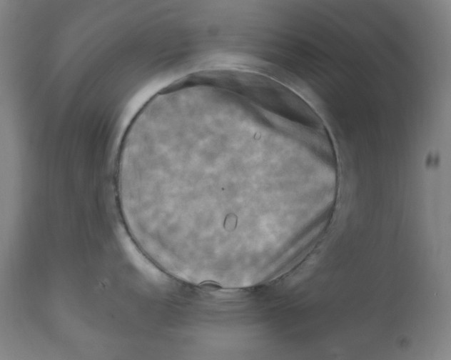 X0000112731152200909171121