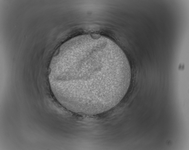 X0000112731153200909171120