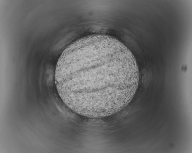 X0000112731154200909171120