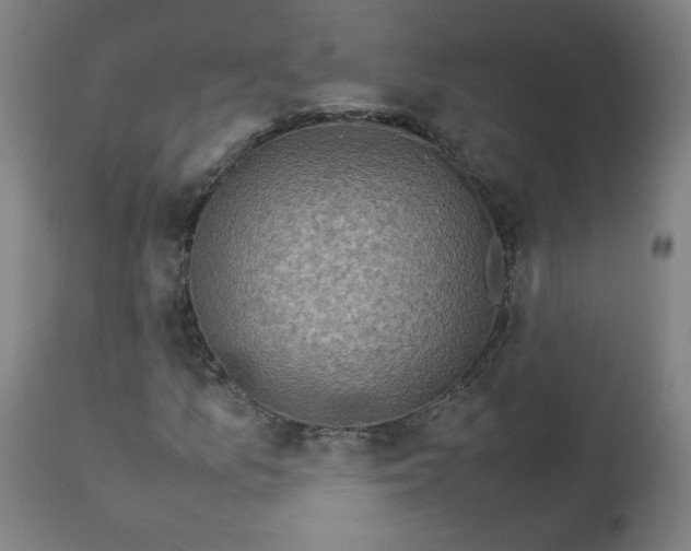 X0000112731157200909171120