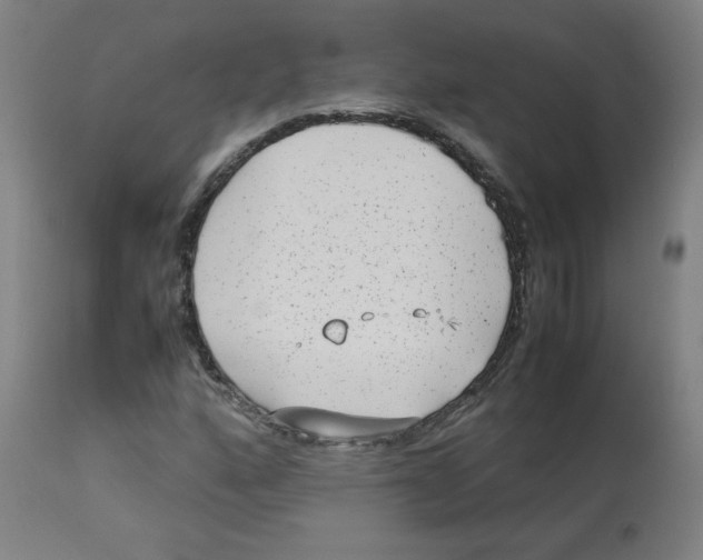 X0000112731160200909171120