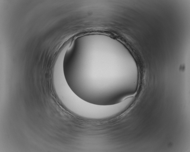 X0000112731161200909171120