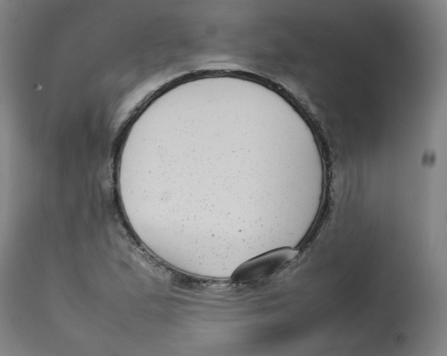 X0000112731167200909171120