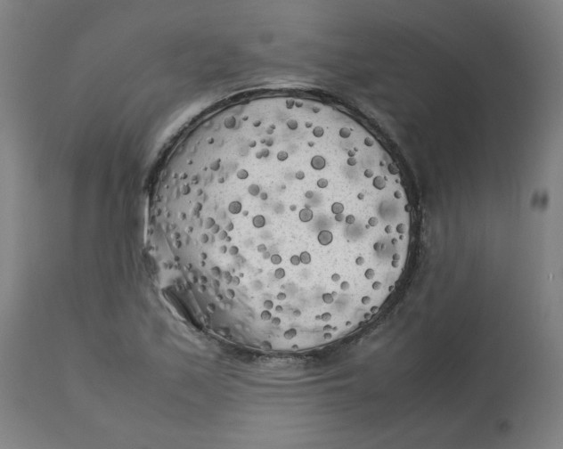 X0000112731171200909171120