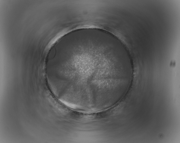 X0000112731173200909171120