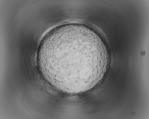 X0000112731174200909171120