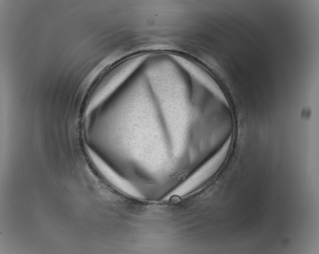 X0000112731181200909171120