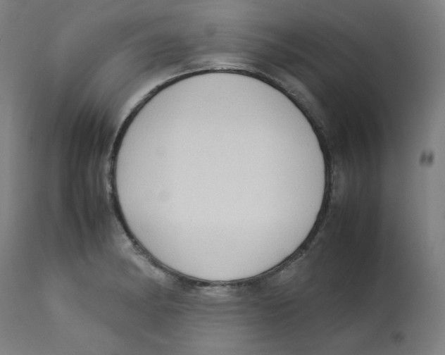 X0000112731182200909171120