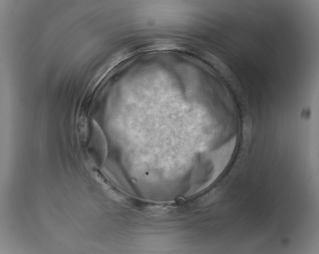 X0000112731185200909171120