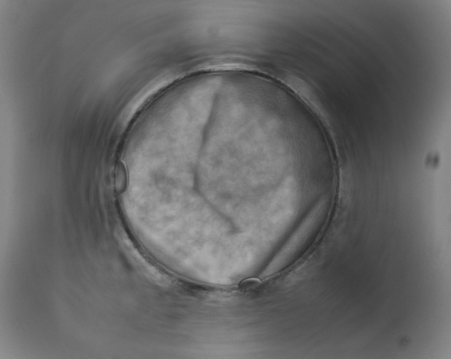 X0000112731189200909171120