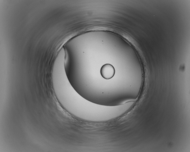 X0000112731193200909171120