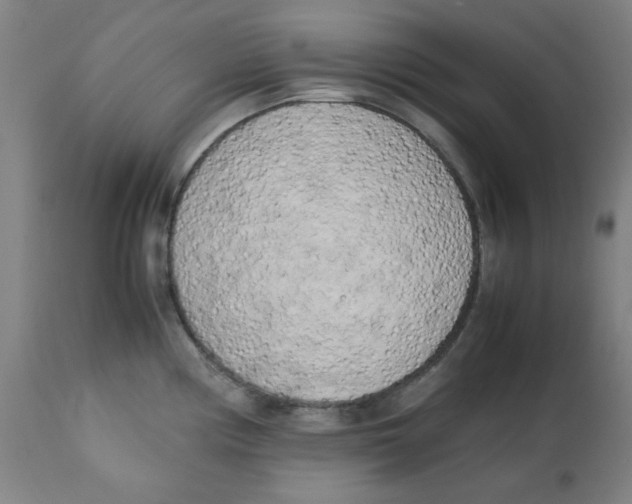 X0000112731194200909171120