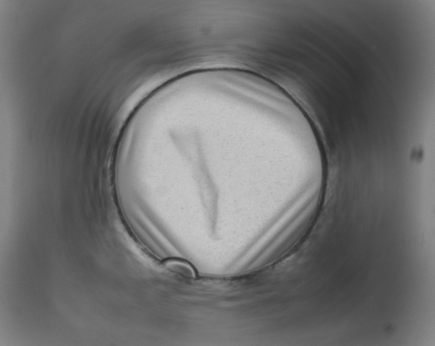 X0000112731197200909171120