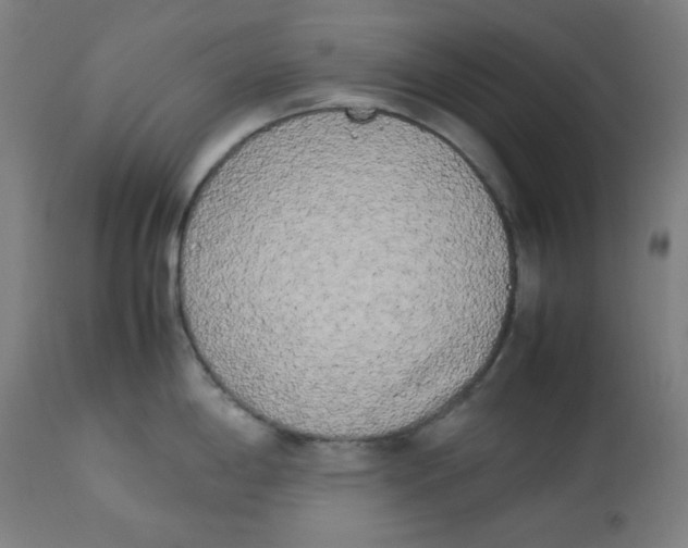 X0000112731198200909171120