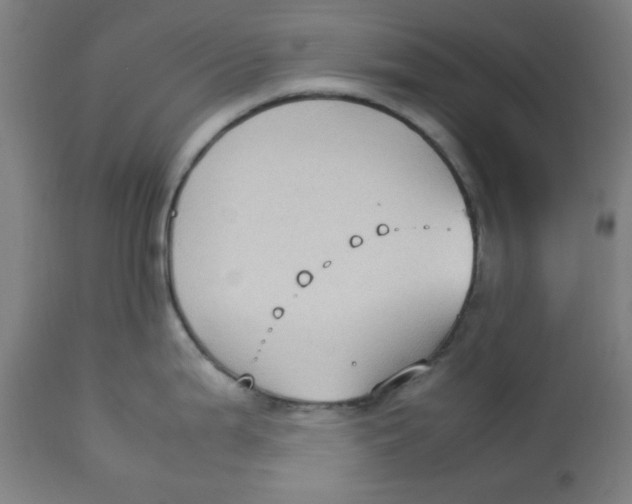 X0000112731199200909171120