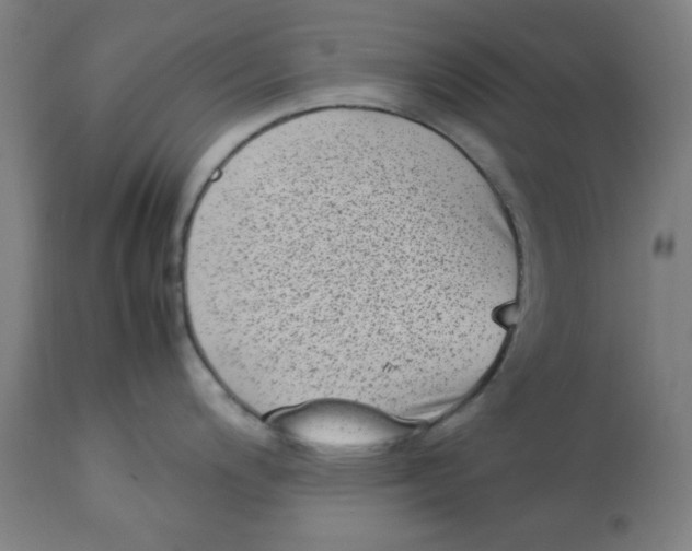 X0000112731200200909171120